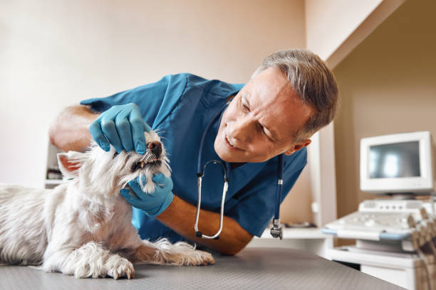 Best Dentist for Tooth Abscess  in Wellston, OH
